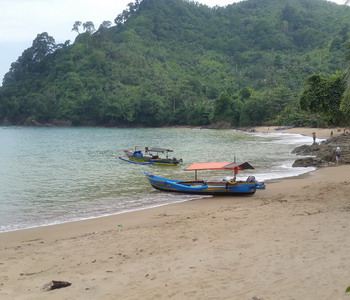 Image Tour