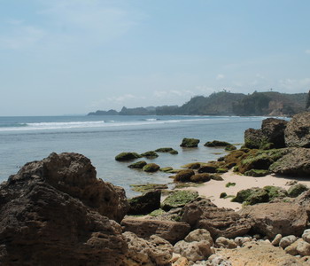 Image Tour