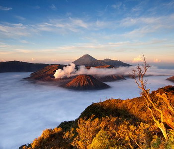 Image Tour