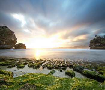 Image Tour